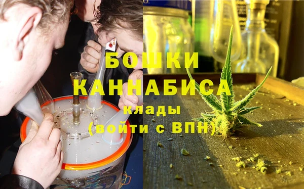шишки Абаза