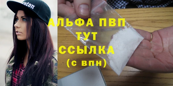 шишки Абаза