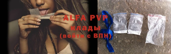 шишки Абаза