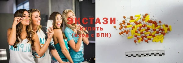 гашик Алексин