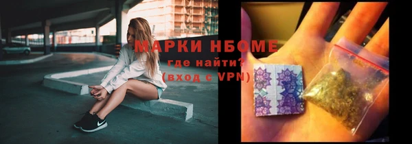 гашик Алексин