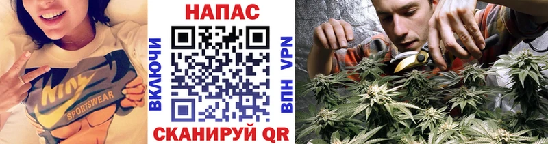 ссылка на мегу сайт  Щёлкино  Марихуана SATIVA & INDICA  наркота 